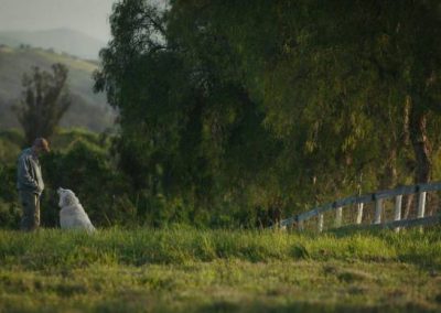 Afbeelding scene uit de film the biggest little farm