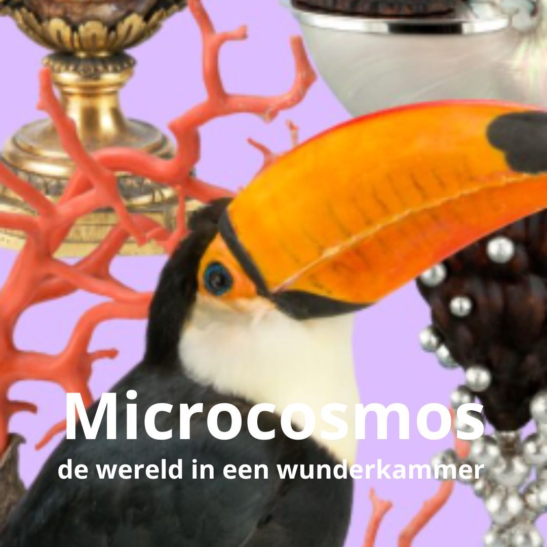 microcosmos de wereld in een wunderkammer Microcosmos